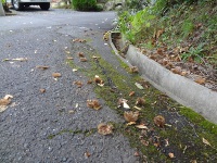 DSC03364a.jpg