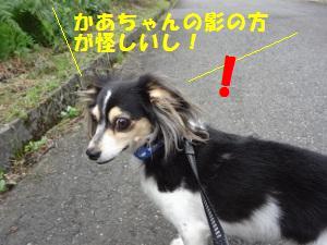 DSC03379a.jpg
