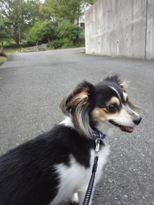 DSC03380a.jpg