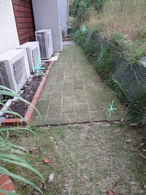 DSC03388a.jpg