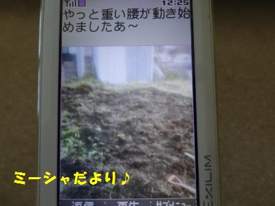 DSC03390a.jpg