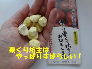 DSC03395a.jpg
