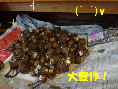 DSC03397a.jpg