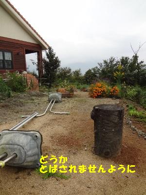 DSC03403a.jpg