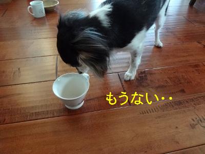 DSC03471a.jpg
