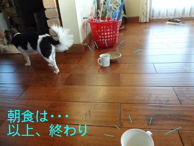 DSC03472z.jpg