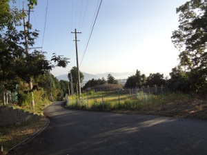 DSC03480a.jpg