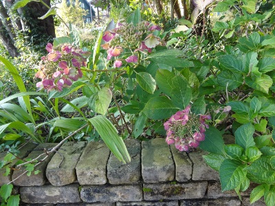 DSC03482a.jpg