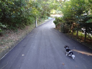 DSC03484a.jpg
