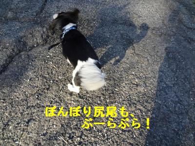 DSC03489a.jpg