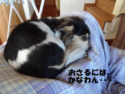 DSC03521a.jpg