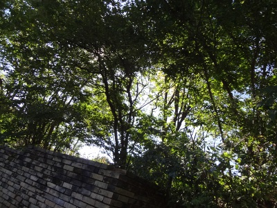 DSC03543a.jpg