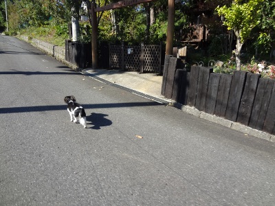 DSC03547a.jpg