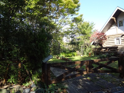 DSC03551a.jpg