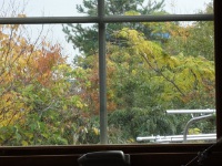 DSC03953a.jpg