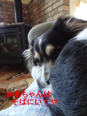 DSC03958a.jpg
