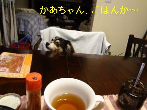 DSC03964a.jpg