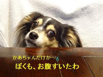 DSC03966a.jpg