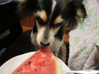 IMG_0115a.jpg