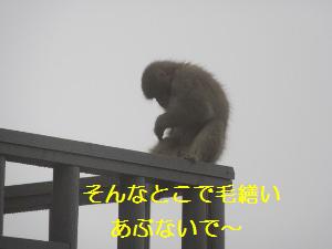 IMG_0162a.jpg