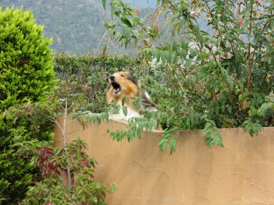 IMG_0246a.jpg