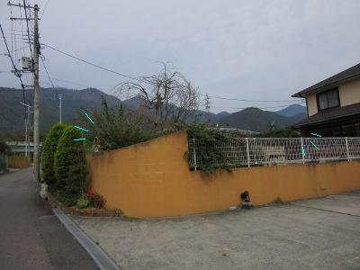 IMG_0247a.jpg