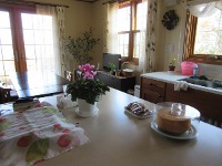 IMG_0384a.jpg