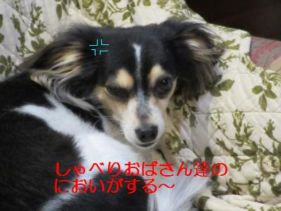 IMG_0397a.jpg