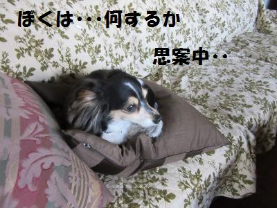 IMG_0419a.jpg