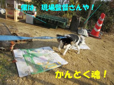 IMG_0457a.jpg