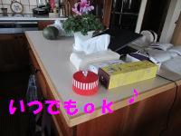 IMG_0467a.jpg
