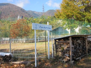 IMG_0565a.jpg