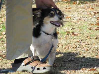IMG_0585a.jpg