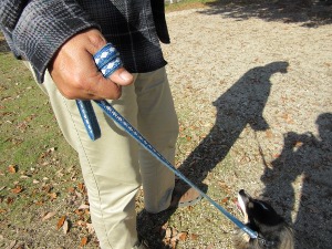 IMG_0590a.jpg