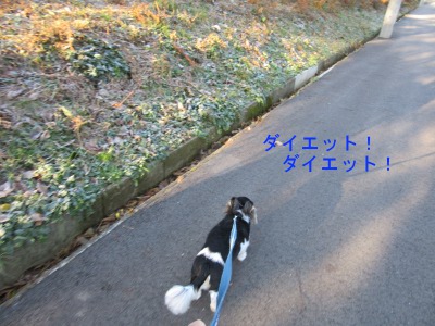 IMG_0649a.jpg