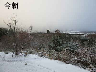 IMG_0883ab.jpg