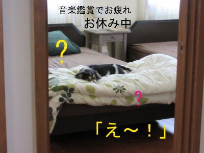IMG_0930a.jpg