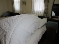 IMG_1110a.jpg