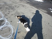 IMG_1157a.jpg
