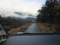 IMG_1247.jpg