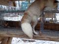 tail2.jpg