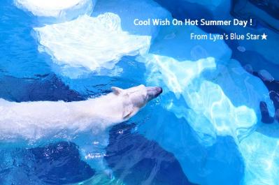 Summer Card 2012