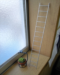 CIMG0814_R.jpg