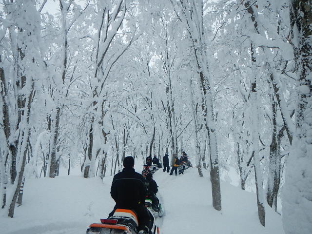 DSCN0550.jpg