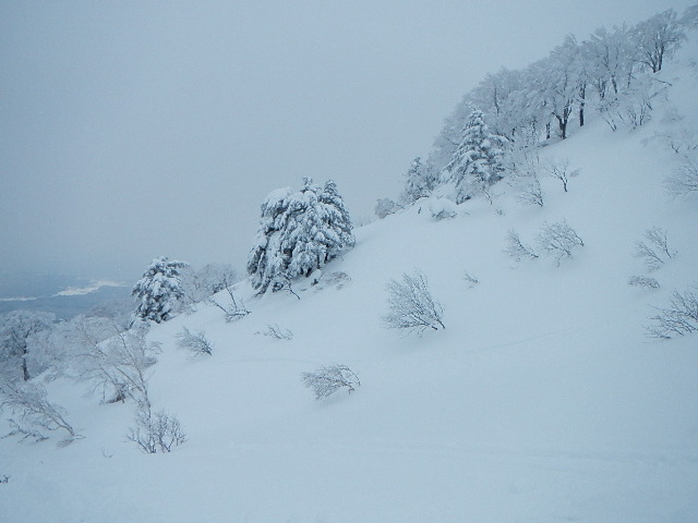 DSCN0552.jpg