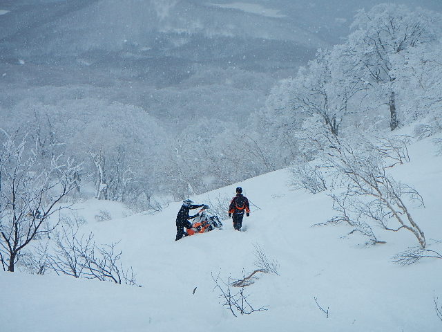 DSCN0555.jpg