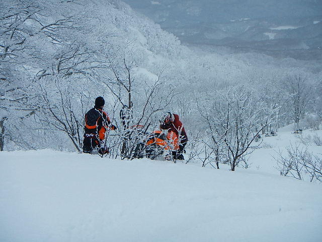 DSCN0557.jpg
