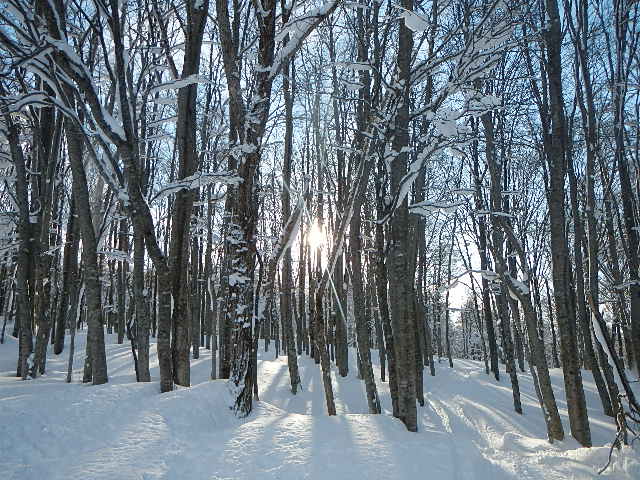 DSCN0562.jpg