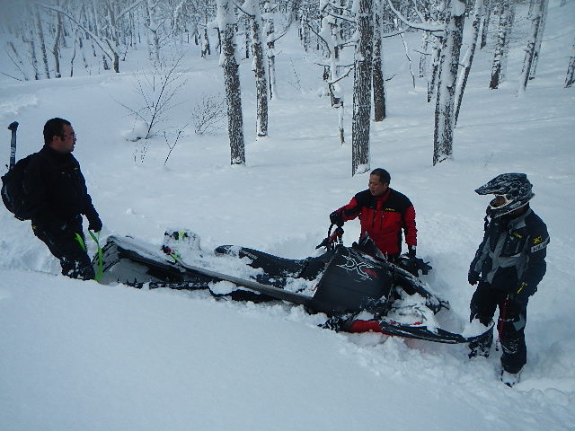 DSCN0597.jpg