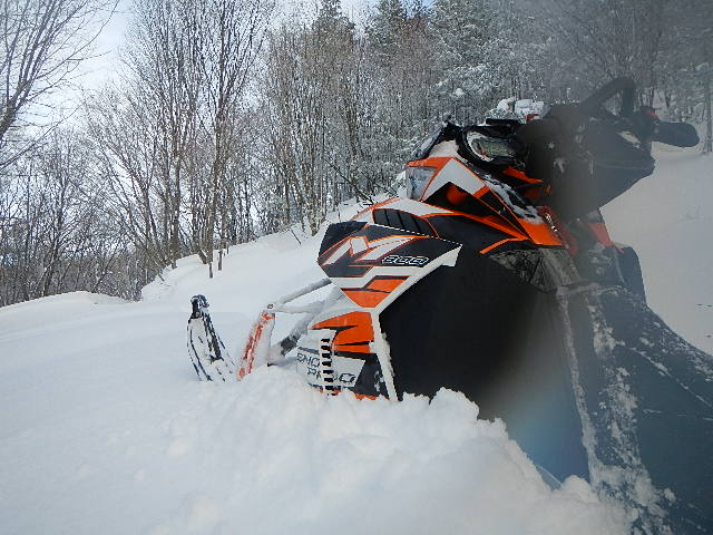 DSCN0599.jpg